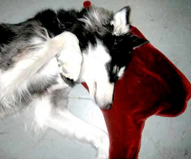 Blood On Pillow