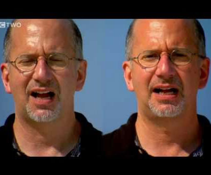 Mcgurk Effect